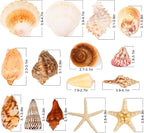 JQAQJU Sea Shells for Decorating 15PCS Large Seashells Starfish Conch for Beach Party,Vase Fillers, Table Scatters, Home Decor, DIY Crafts, Bathroom, Fish Tank Decorations