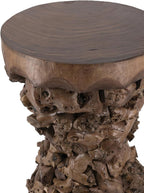 WILLIAMSPACE 11.8" Solid Wood Side Table with Organic Tree Root Base, Modern Mulberry and Paulownia Wood Accent Table End Table, Tree Stump Garden Stool, No Assembly, 18.9" H, Brown