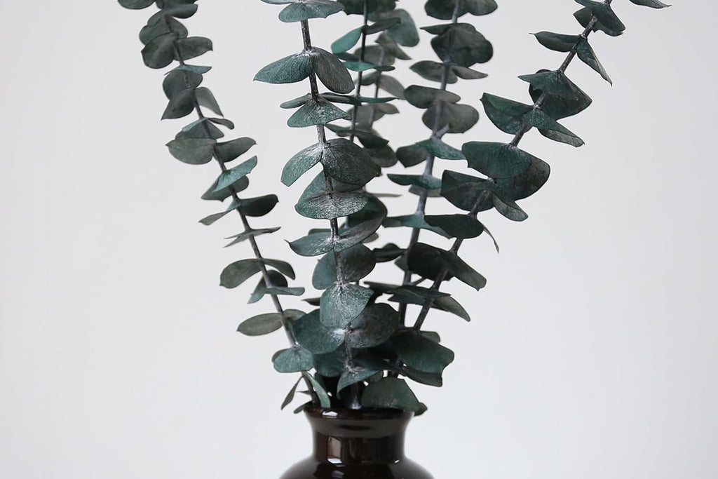 10 PCS Dried Eucalyptus Stems for Shower 15-16" Real Leaves Branches for Vase Filler, Home Bathroom Wedding Arrangement Decor, 100% Natural Fresh Greenery Hanging Preserved Eucalyptus Plant