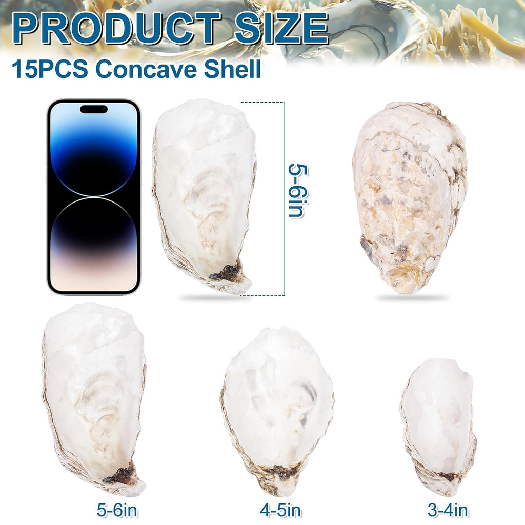 15PCS Oyster Shells 5"-6" Concave Oyster Shells for Crafts Natural Oyster Shells Bulk, for Home Vase Filler, Xmas Ornaments, DIY Arts and Crafts Sea Shells