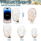 15PCS Oyster Shells 5"-6" Concave Oyster Shells for Crafts Natural Oyster Shells Bulk, for Home Vase Filler, Xmas Ornaments, DIY Arts and Crafts Sea Shells