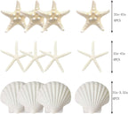 JQAQJU 3-4 Inches Large Starfish and Scallop Shells for Crafts 12PCS, Natural Beach Sea Shells for Crafting, Baking Shells Perfect for White Christmas Decor Beach Party Wedding Fishtank DIY Crafts