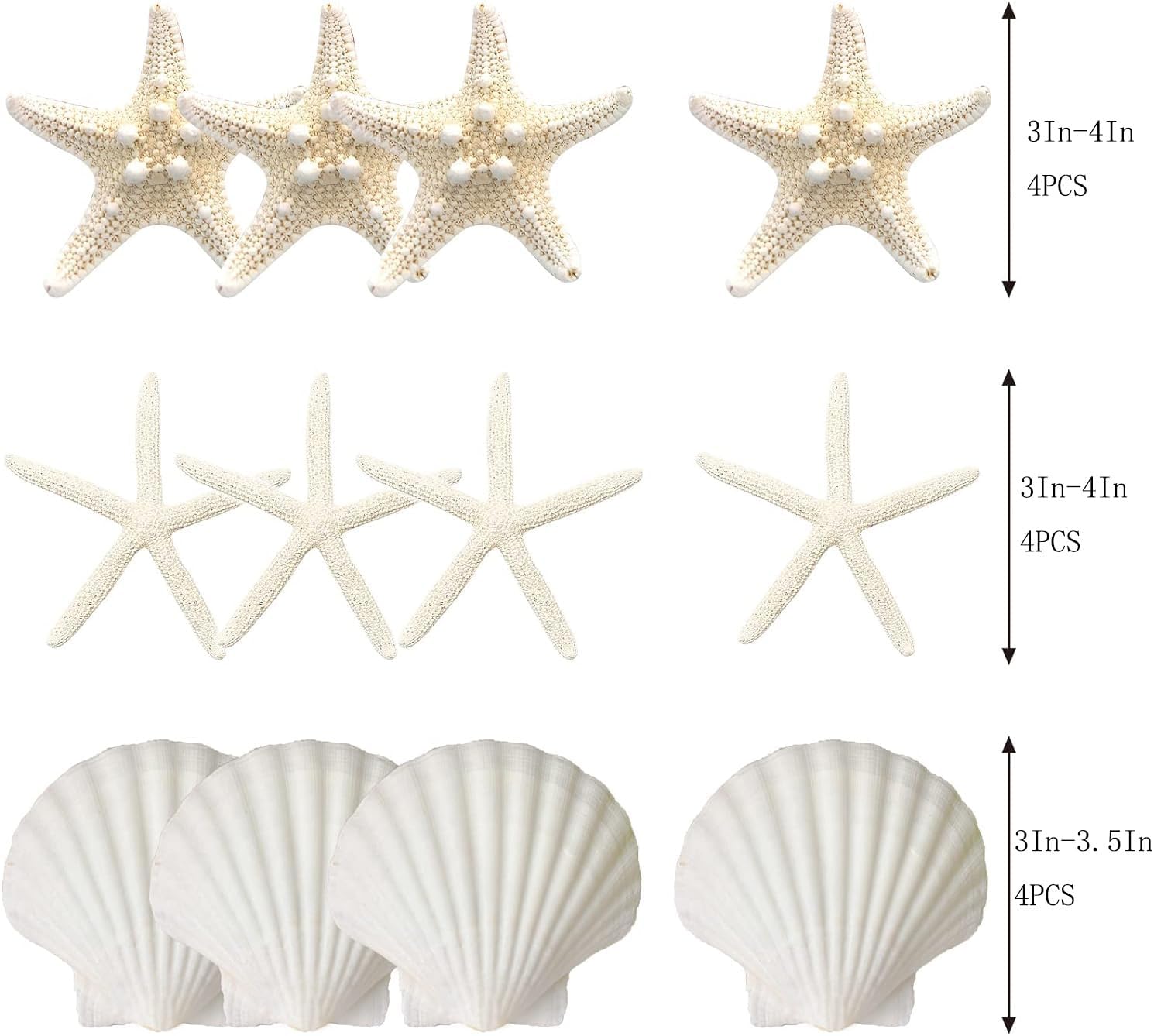 JQAQJU 3-4 Inches Large Starfish and Scallop Shells for Crafts 12PCS, Natural Beach Sea Shells for Crafting, Baking Shells Perfect for White Christmas Decor Beach Party Wedding Fishtank DIY Crafts