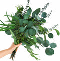 16PCS Real Dried Eucalyptus Stems, Mixed Silver Dollar & Seeded Eucalyptus Leaves, Preserved Natural Greenery for Vase, Wedding Bouquet, Floral Arrangement, Home Decor