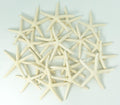Starfish Decor - Star Fish for Craft - 20pk Real 2-3" White Sea Stars - Beach Wedding Decor - Coastal Party Decorations - Seashell Decor - Shells for Crafts - Nautical Decor - Bulk Shells for Crafts