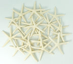 Starfish Decor - Star Fish for Craft - 20pk Real 2-3" White Sea Stars - Beach Wedding Decor - Coastal Party Decorations - Seashell Decor - Shells for Crafts - Nautical Decor - Bulk Shells for Crafts