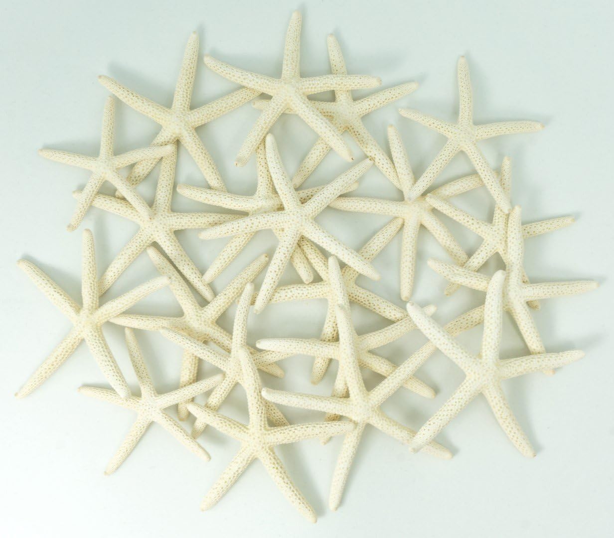 Starfish Decor - Star Fish for Craft - 20pk Real 2-3" White Sea Stars - Beach Wedding Decor - Coastal Party Decorations - Seashell Decor - Shells for Crafts - Nautical Decor - Bulk Shells for Crafts