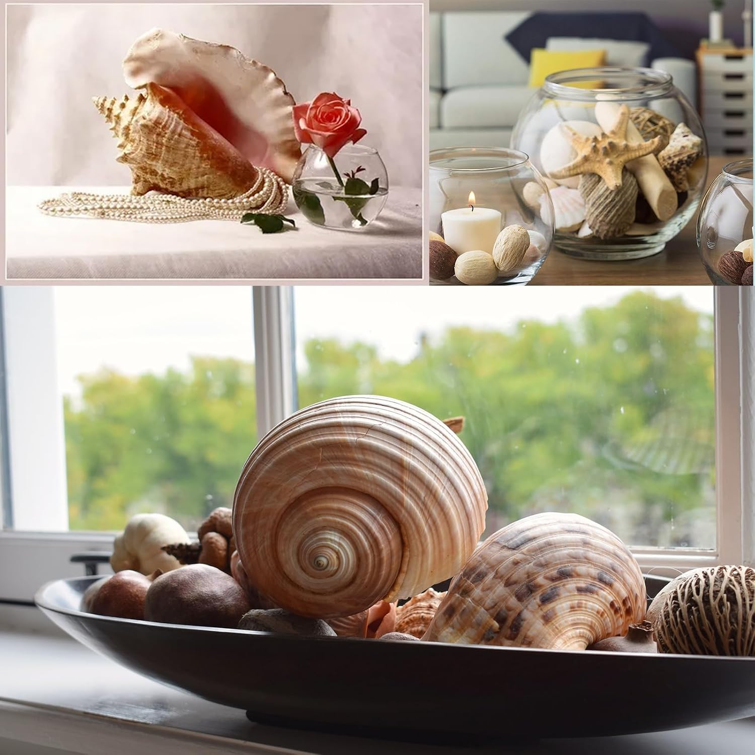 JQAQJU Sea Shells for Decorating 15PCS Large Seashells Starfish Conch for Beach Party,Vase Fillers, Table Scatters, Home Decor, DIY Crafts, Bathroom, Fish Tank Decorations