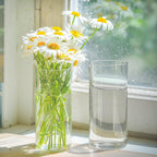 12 Cylinder Glass Vases 7.8" H, Tall Clear Hurricane Flower Vase Bulk for Weddings, Floating Candles, Table Decor, Events, Home Decoration