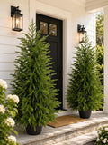 4FT Lighted Artificial Norfolk Pine Tree Outdoor with Lights｜Artificial Topiary Outdoor Tree｜Realistic PE Artificial Outdoor Plants｜Artificial Norfolk Faux Plants Potted UV Resistant