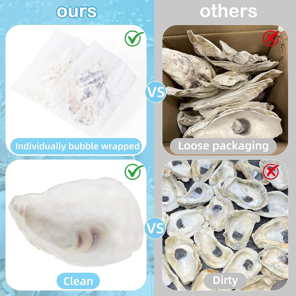 12 Pcs Natural Oyster Shells for Crafts, 5-6 inch Extra Large Seashells for Crafting, Shell Painting, Beach Wedding & Christmas Decor, Vase Filler, DIY Home Decor, Craft Shells