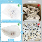 12 Pcs Natural Oyster Shells for Crafts, 5-6 inch Extra Large Seashells for Crafting, Shell Painting, Beach Wedding & Christmas Decor, Vase Filler, DIY Home Decor, Craft Shells
