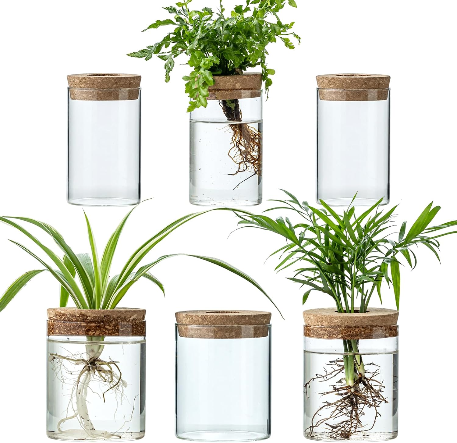 Plant Propagation Stations for Plants, 2 Size Glass Propagation Vases for Propagating Hydroponic Indoor Home Office Decor, Tabletop Glass Planter Gift for Plant Lovers (6)