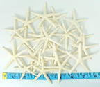 Starfish Decor - Star Fish for Craft - 20pk Real 2-3" White Sea Stars - Beach Wedding Decor - Coastal Party Decorations - Seashell Decor - Shells for Crafts - Nautical Decor - Bulk Shells for Crafts