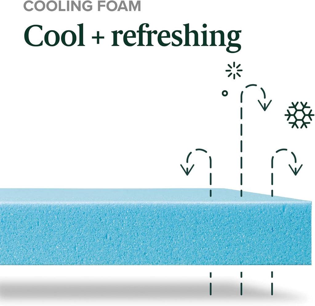 Zinus 10 Inch Green Tea Cooling Memory Foam Mattress [New Version], Queen, Fiberglass Free, Medium Firmness, Cooling Gel Foam, Certified Safe Foams & Fabric, Mattress in A Box
