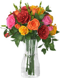 Der Rose 8 inch Clear Glass Flower Vases for Flower Bouquet Decoration Home Centerpiece Wedding Decor Gift