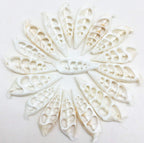 PEPPERLONELY 20 PC White Center Cut Cerithium vertagus Sea Shells, 1-1/2 Inch ~ 2 Inch