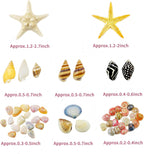 1500 PCS sea Shells Small Natural Starfish Mixed Beach Snail Seashells are Suitable for Beach Theme Parties,Home Decoration, Various DIY Crafts,Candle Making,Shells,Fish Tank and vase fillers