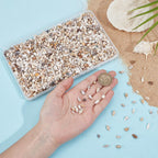 PH PandaHall 1400-1500pcs Tiny Sea Shells 7-12mm Tiny Crushed Shells Miniature Shell NO Hole Seashells Ocean Spiral Seashells for Resin Crafting Candle Home Party Wedding Fish Tank Vase Filler