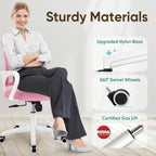 ETONEX Office Chair with Ergonomic Mid Back Cushion Lumbar Support Adjustable Swivel Rolling Computer Gaming Desk Chair Comfy Mesh Seat Wheels Home Executive Use (Pink)