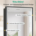TokeShimi 16x24 Recessed Medicine Cabinet with Mirror Surface Mounted, Metal Beveled Mirror with Storage for Bathroom Vanity, Aluminum Black Medicine Cabinet Mirrored