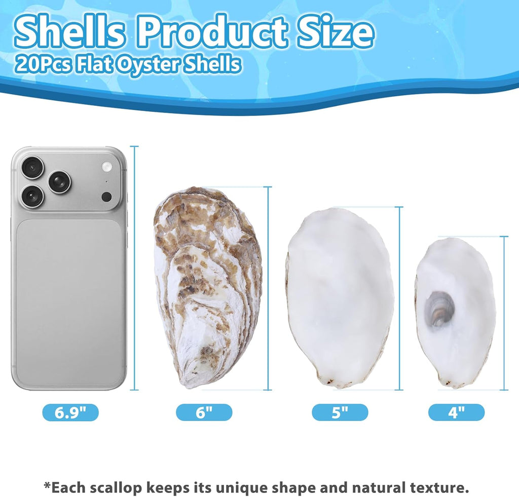 20Pcs Extra Large Flat Oyster Shells 5-6 Inch Natural Oyster Shells for Crafts, Home Vase Filler, DIY Arts and Crafts, Christmas Ornaments, Coastal Decor, Decoupage, Painting, Seashells Bulk