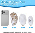 20Pcs Extra Large Flat Oyster Shells 5-6 Inch Natural Oyster Shells for Crafts, Home Vase Filler, DIY Arts and Crafts, Christmas Ornaments, Coastal Decor, Decoupage, Painting, Seashells Bulk