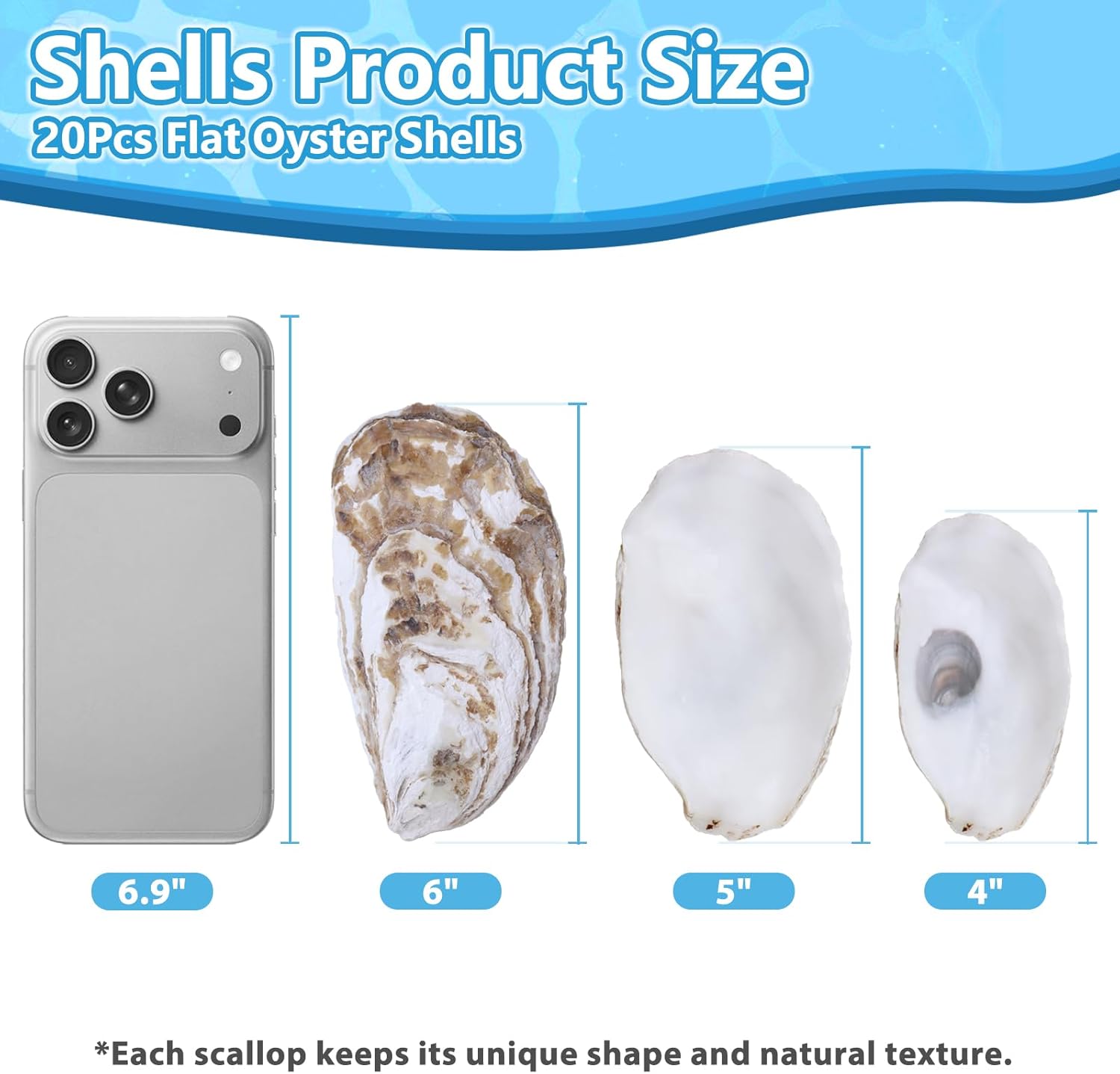 20Pcs Extra Large Flat Oyster Shells 5-6 Inch Natural Oyster Shells for Crafts, Home Vase Filler, DIY Arts and Crafts, Christmas Ornaments, Coastal Decor, Decoupage, Painting, Seashells Bulk