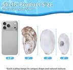 20Pcs Flat Oyster Shells 4-5 Inch, Large Natural Oyster Shells for Crafts, Vase Filler, Wedding Decor, DIY Christmas Ornaments, Decoupage, Painting, Sea Shells Bulk