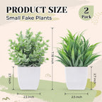 Der Rose 2 Pack Small Fake Plants Mini Artificial Potted Plants for Table Desk Home Laundry Room Bathroom Office Decor
