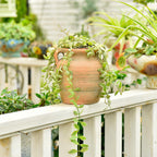 Sungmor Rustic Ceramic Flower Vase with Handles, Decorative Pottery Vase 7 Inch Terracotta Plant Pots, Cement Textured Vases Home Decor, Indoor Fresh Flowers Planter, Dried Flower Arrangements