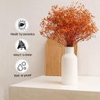 Bohemian White Ceramic Vase - for Pampas Grass, Mantel, Bookshelf, Entryway and Living Room Decor (White, 7in)