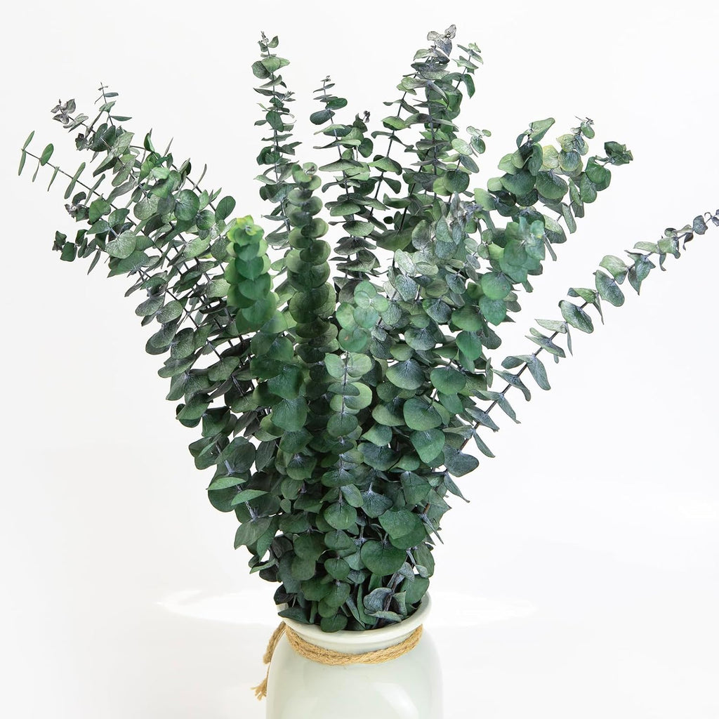 16PCS Dried Eucalyptus Stems – 17" Natural Preserved Eucalyptus Plant，Eucalyptus for Shower Branches for Vase Wedding Decor, Eucalyptus Bundle & Home Decor