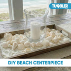 Tumbler Home Mix of White Seashells - Set Includes 1 Pound White Shells up to 3 inches - Home Decor, Vase Filler, Wedding Centerpiece, Christmas, Craft, Candle Making-Sea Shell Mix