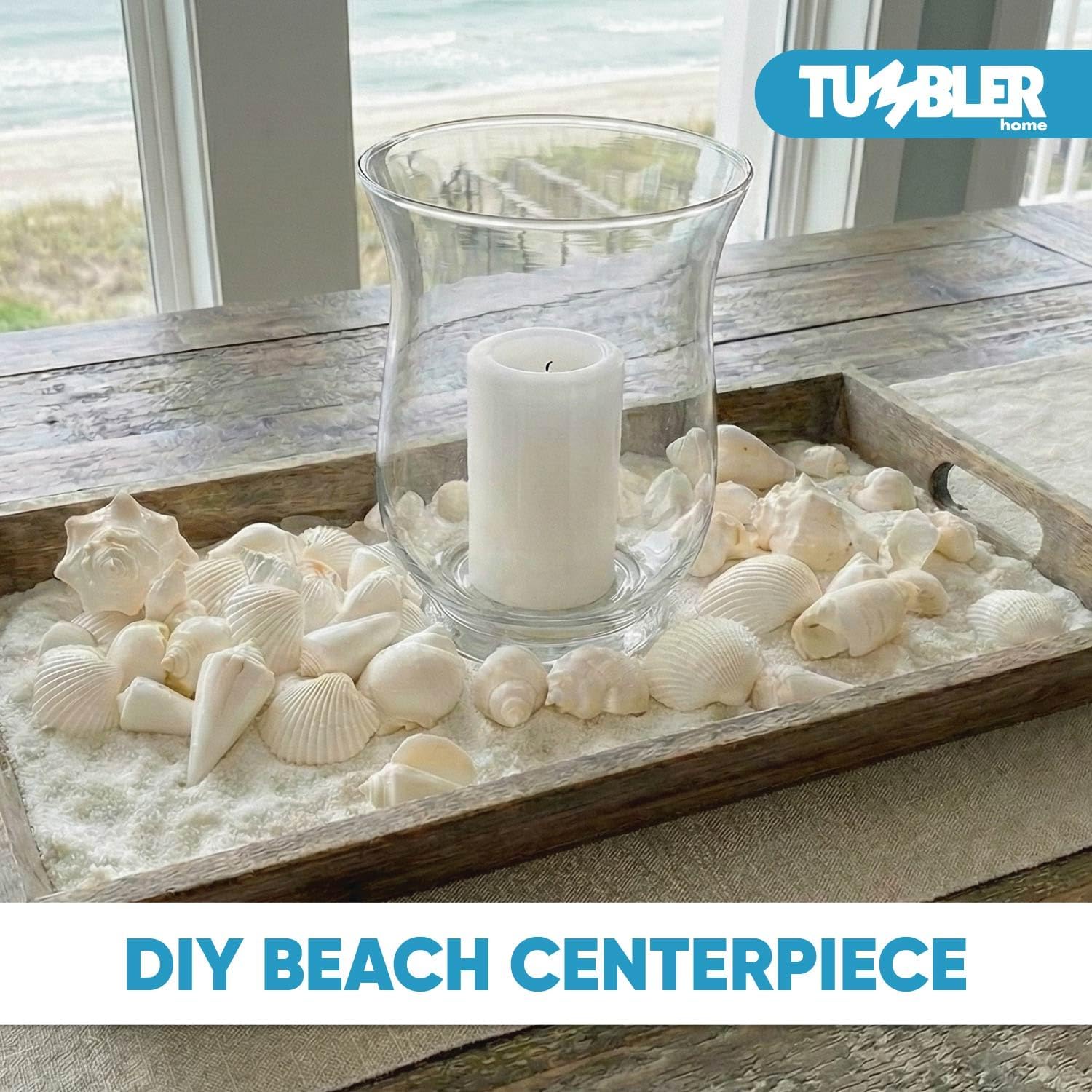 Tumbler Home Mix of White Seashells - Set Includes 1 Pound White Shells up to 3 inches - Home Decor, Vase Filler, Wedding Centerpiece, Christmas, Craft, Candle Making-Sea Shell Mix