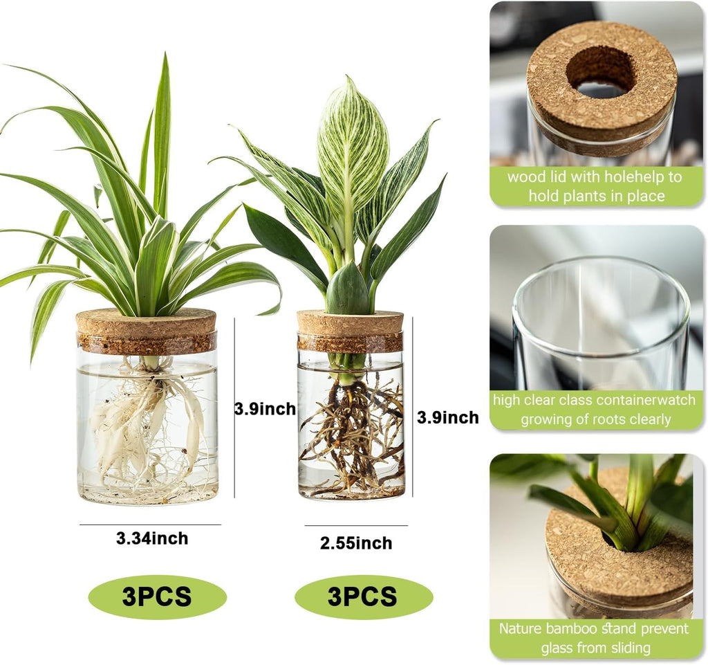 Plant Propagation Station,Hydroponic Glass Container Vase 2 Sizes Planter Propagated Jars for Desks, Houses, Garden Decorations,Home Kitchen Decorations and Gifts cu.20.5 (6pcs)