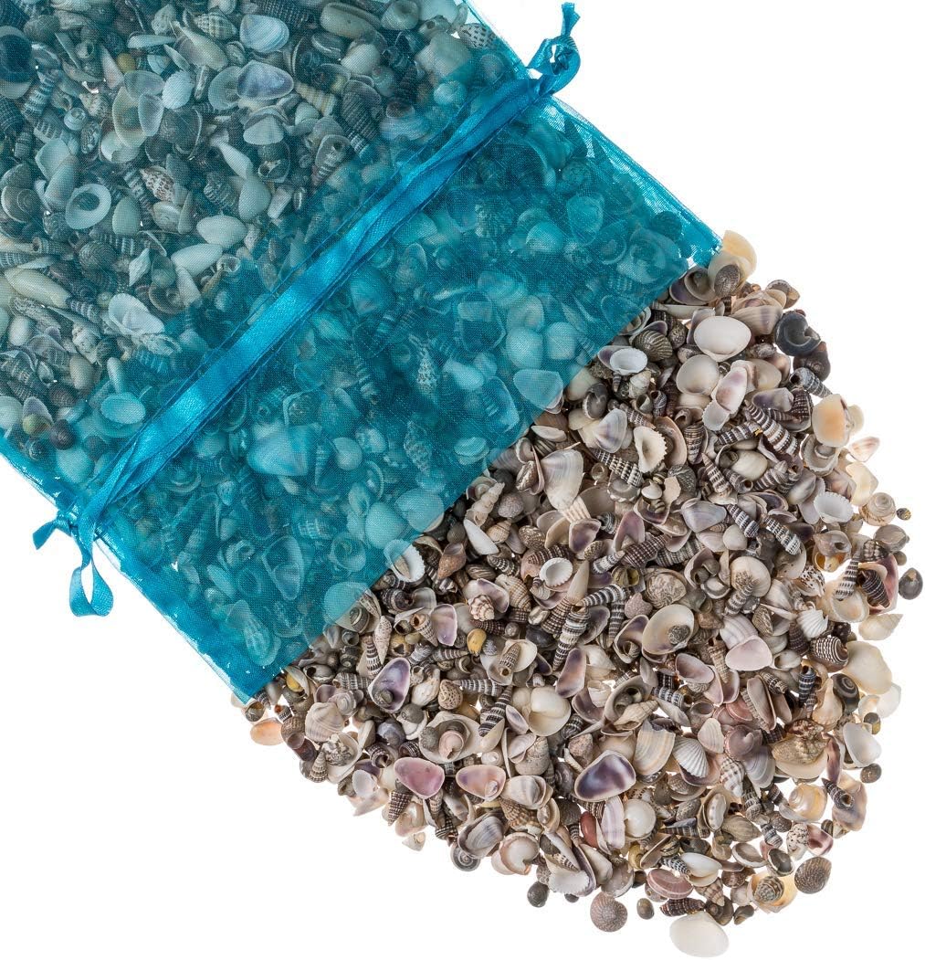 Tiny Miniature Fairy Garden Sea Shell Assorted Mix | Tiny Small Sea Shells for Craft and Decoration | Plus Free Nautical Ebook by Joseph Rains (16 Ounces, 1,500+)