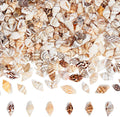 PH PandaHall 1400-1500pcs Tiny Sea Shells 7-12mm Tiny Crushed Shells Miniature Shell NO Hole Seashells Ocean Spiral Seashells for Resin Crafting Candle Home Party Wedding Fish Tank Vase Filler