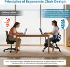 Ergonomic Kneeling Chair with Backrest & Lumbar Support, Adjustable Desk Chair with Wheels & Thick Cushion, Improve Sitting Postures & Relieve Lower Back Pressure, Perfect for Study & Work from Home