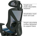 STAPLES Ergonomic Task Chair, Mesh, Ergonomic, Lumbar Support, Blue