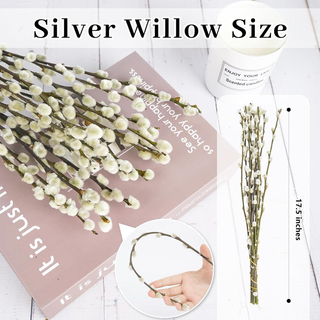 60 Stems 100% Natural 17 Inches Preserved Pussy Willow Flowers Pussy Willow Branches for Vases White Pussywillows for Festival Easter Wedding Home Party Hotel Fireplace Decor