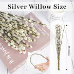 60 Stems 100% Natural 17 Inches Preserved Pussy Willow Flowers Pussy Willow Branches for Vases White Pussywillows for Festival Easter Wedding Home Party Hotel Fireplace Decor