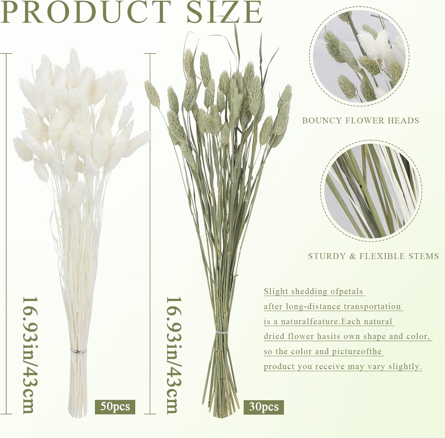 CISDUEO 80 Pcs Dried Flowers Stems Natural Dried Pampas Grass Bouquets White and Green Gem Grass Artificial Dried Plants for Autumn Vase Filler Floral Arrangements Boho Home Table Wedding Decoration
