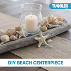 Tumbler Home Medium Sized Shells in a Delightful Mix of Whites, Tans and Pinks | 1 Pound | Perfect for Crafts, Beach Home Decor, Weddings, Vase Filler and Classrooms