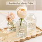 Clear Glass Bud Vase Set of 12 Pcs,Small Bud Vases in Bulk,Glass Crystal Flower Vases Table Centerpieces for Party Event Wedding Decor Baby Shower Decorations (Clear, 12 Pcs)