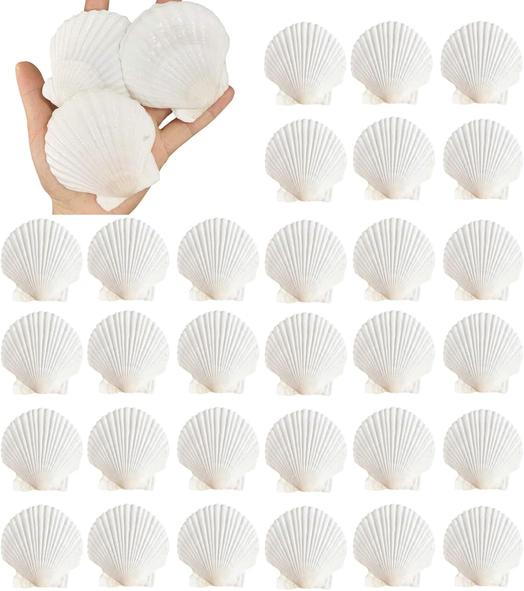 30PCS Natural Scallop Shells 2.3''-3'' White Sea Shells for DIY Craft Making, Hand Painting, Ocean Themed Party and Home Décor