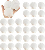 30PCS Natural Scallop Shells 2.3''-3'' White Sea Shells for DIY Craft Making, Hand Painting, Ocean Themed Party and Home Décor