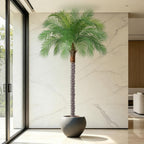 6ft Artificial Phoenix Palm Tree, Faux Coconut Silk Tropical Fake Palm Plant for Indoor Outdoor Home Office Patio Bathroom Pool Coastal Decor(Set of 2)