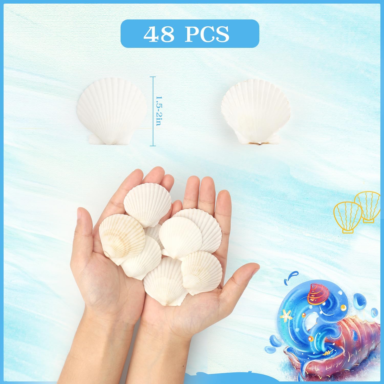 Jangostor 48 PCS Scallop Shells Natural Seashell, 1.5" to 2" White Scallop Shells Small Seashells for Crafts Wedding Decor Beach Theme Party, Fish Tank and Vase Filler