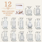 12pcs Mini Bud Vases As Wedding Centerpieces for Tables,Clear Bud Vases for Flowers,Small Flower Vases Suitable for Birthday Party,Anniversary,Wedding Reception,Baby Shower (Clear)